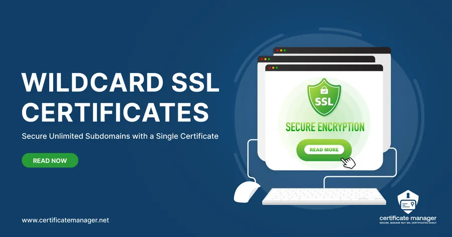 Wildcard domain SSL certificates