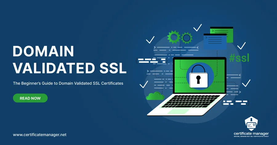 Domain validated SSL certificates